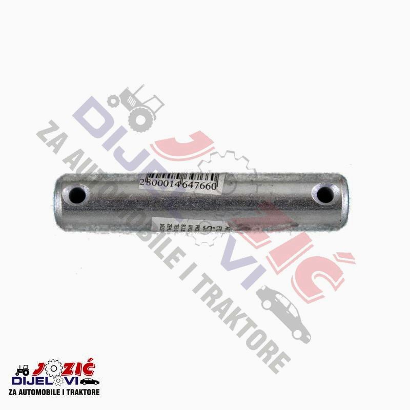 Daisy on the Ohoopee